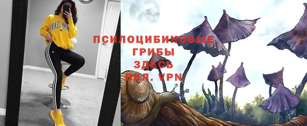мяу мяу кристалл Лабытнанги